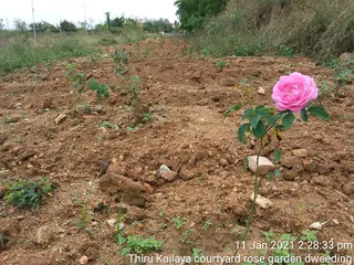 June 06 2021