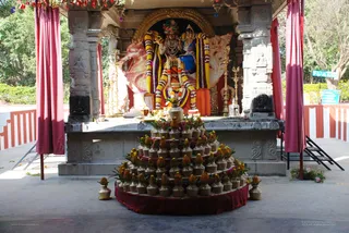 Homa - DSC_0233_watermarked.jpg
