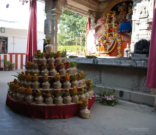 Homa - DSC_0236_watermarked.jpg