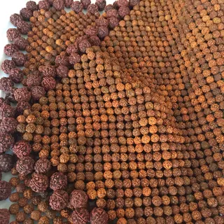 Mukhi Rudraksha Rudraksha Mat