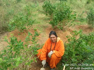 June 06 2021