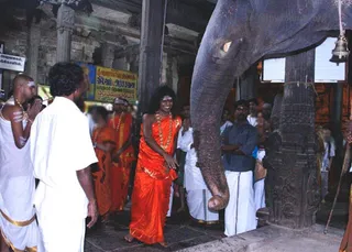 Kailasa Paramparagatha Arunagiri Yogishwara Adi Arunachala Sarvajnapeetha Samrajyam