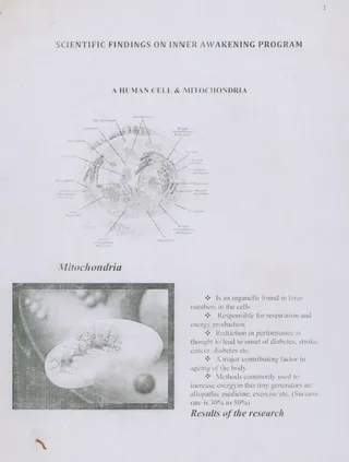 IA - Scientific Findings April 2011 (Book)
