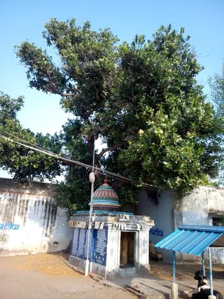 Kailaasa Paramparagatha Suvarnapeetha Sarvajnapeetha Swargapuram Samrajyam