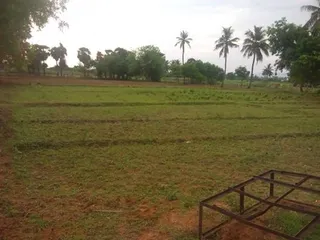 Kailasa Paramparagatha Arunagiri Yogishwara Adi Arunachala Sarvajnapeetha Samrajyam
