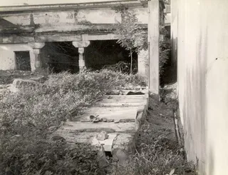 Kailasa Paramparagatha Kanchee Kailasa Sarvajnapeetham
