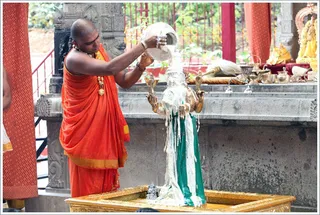 https://nithyanandapedia.org/gproxy/1rm_OT3ZSkQVW6OjHYTx6R1J6AZ9cOMgM