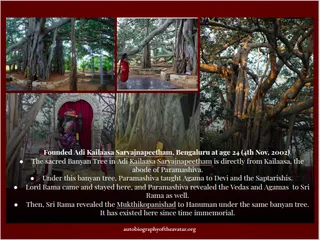 Kailasa Paramparagatha Adi Kailasa Nithyananda Peetham