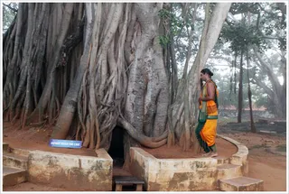 https://nithyanandapedia.org/gproxy/1uv0Js7FmAXGJwWs7H6lUCRwWXT7UECrf