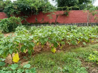 June 05 2021