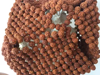 Mukhi Rudraksha Rudraksha Turban