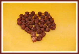 1981 - Rudraksha Mala Materialized by Yogiraj Yogananda Puri