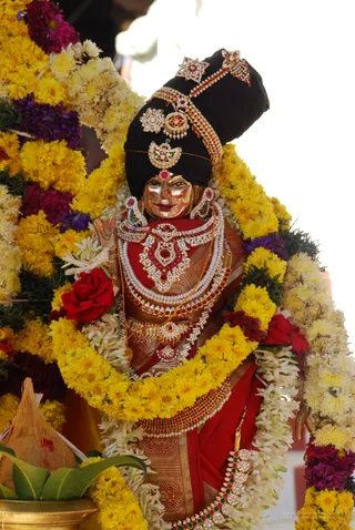 Homa - DSC_0222_watermarked.jpg