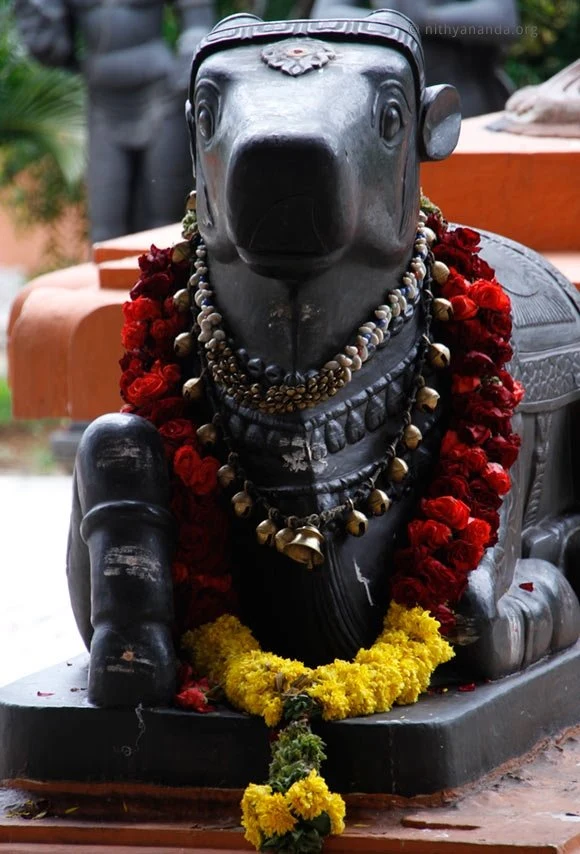https://www.nithyananda.org/sites/default/files/photo-gallery/2011-08aug-08-01c-ananda-nandhi-in-front-of-bidadi-anandeshwara-temple.jpg?1313766474