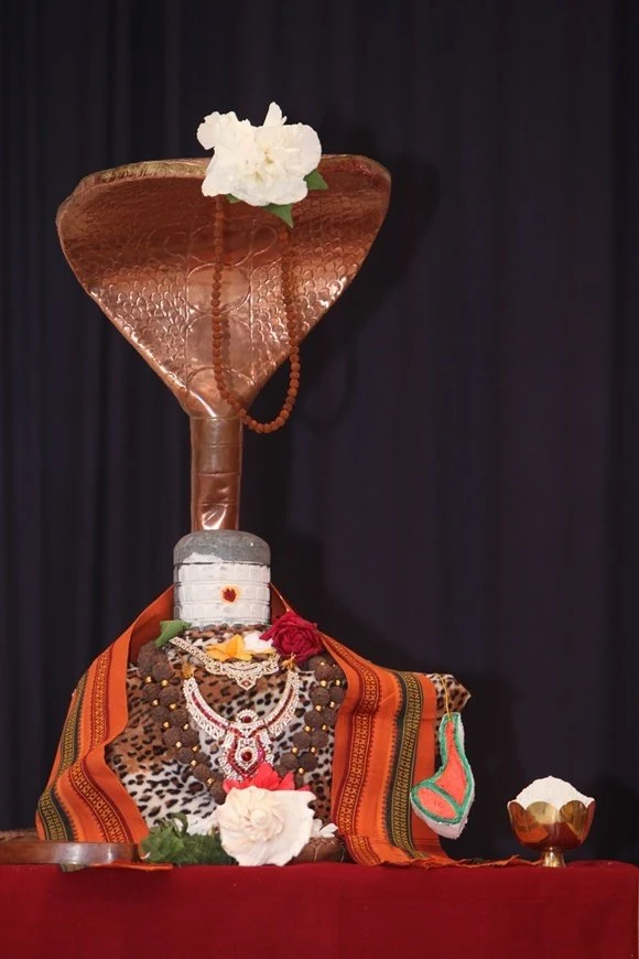 https://www.nithyananda.org/sites/default/files/photo-gallery/2011-08aug-15-nithyananda-photo-02c-pada-puja-shiva-linga-raja-sabha-bidadi_0.JPG?1313833962