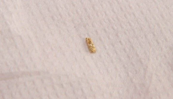 A beautiful mineral from moon, for the first time, got materialized to a devotee in the direct Presence of Swamiji in Bidadi ashram