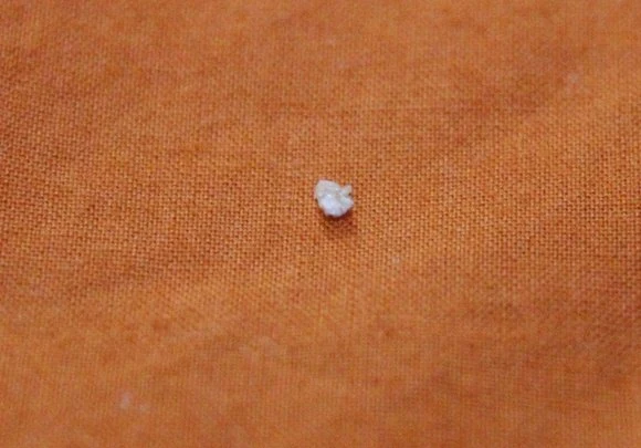 After the mineral from moon, in few minutes, a moon rock got materialized to the same devotee in the Presence of Swamiji in the Bidadi ashram