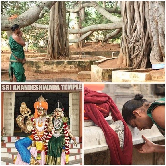Paramahamsa Nithyananda offering His pranams to Anandeswara, Dakshinamurthy and sacred banyan tree