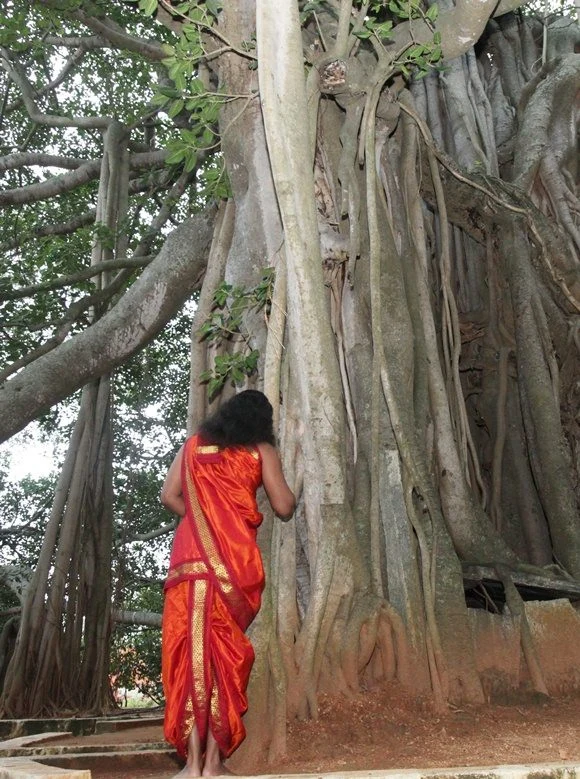 https://www.nithyananda.org/sites/default/files/photo-gallery/2011-08aug-23-nithyananda-photo-01c-banyan-tree.JPG?1314176398