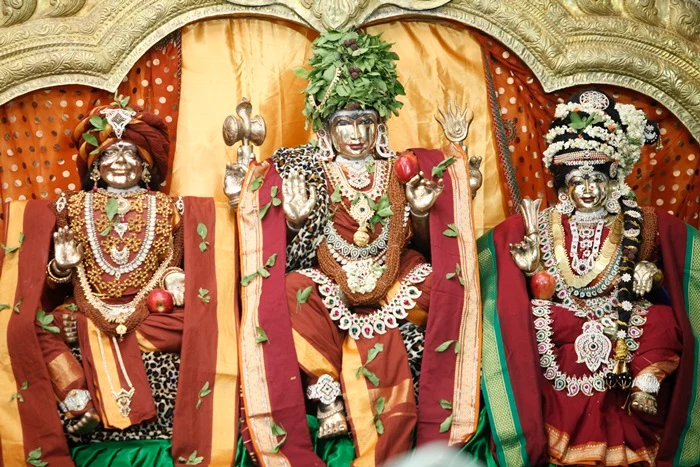 Sundareshwara, Meenakshi and Utsava Moorthi of Nithyananda finely decorated