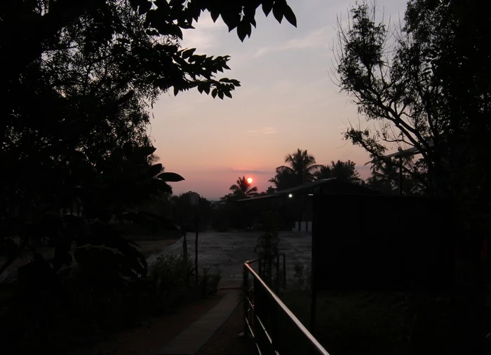 https://nithyananda.org/sites/default/files/photo-gallery/2014-10oct-01st-nithyananda-dairy_IMG_9791_bidadi-rising-sun.JPG?1412391373