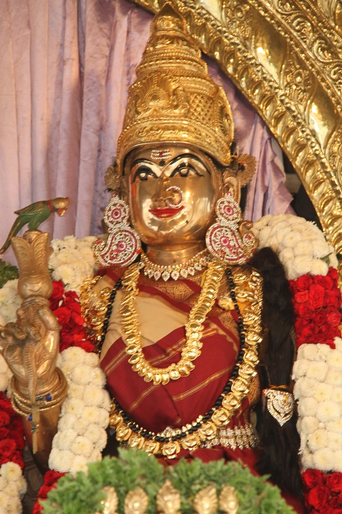 https://nithyananda.org/sites/default/files/photo-gallery/2014-10oct-19th-nithyananda-diary_IMG_7754_bidadi-temple-sanctum-nithyanandeshwari.JPG?1413860432