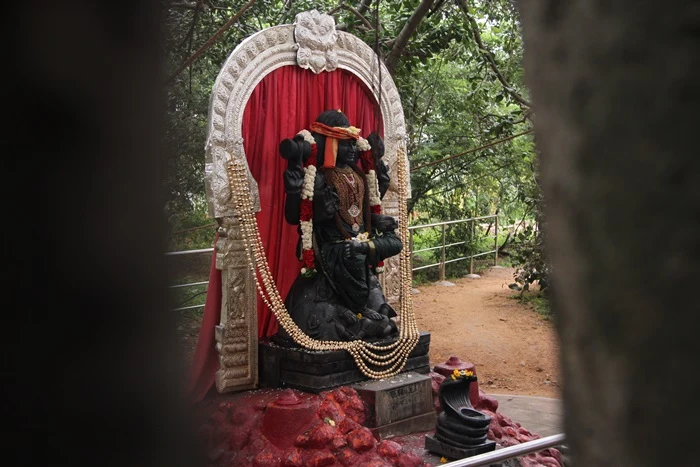 https://nithyananda.org/sites/default/files/photo-gallery/2014-10oct-19th-nithyananda-diary_IMG_7788_bidadi-temple-dakshinamoorthi.JPG?1413860432