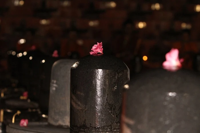 https://nithyananda.org/sites/default/files/photo-gallery/2014-10oct-20th-nithyananda-diary_IMG_8022_bidadi-rudrabishekam_vaidhya-sarovar-jyothir-lingam.JPG?1413880555