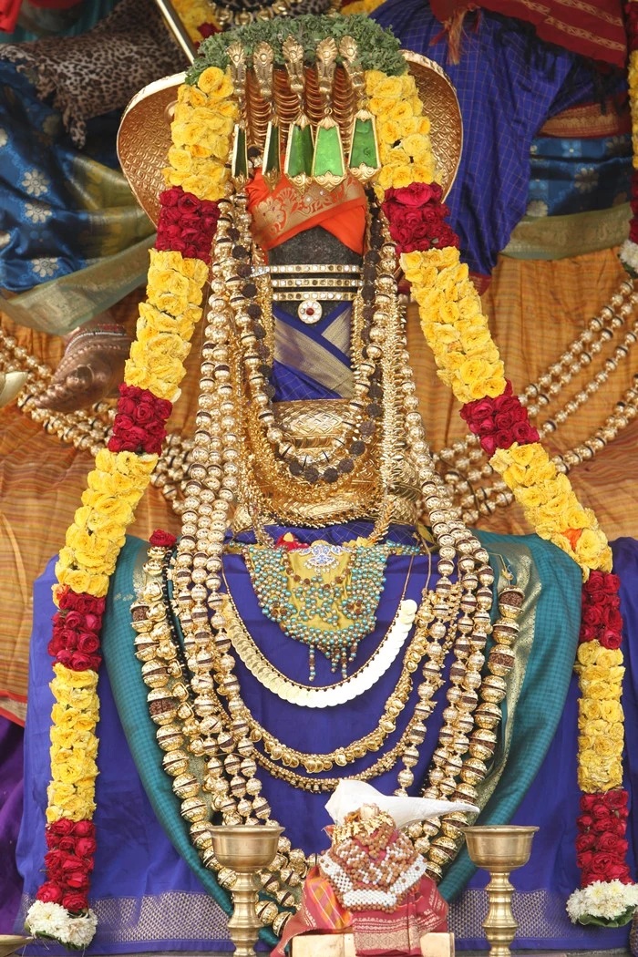 https://nithyananda.org/sites/default/files/photo-gallery/2014-10oct-31st-nithyananda-diary_IMG_2558_bidadi-temple-sanctum-swayambu-lingam.JPG?1414822575