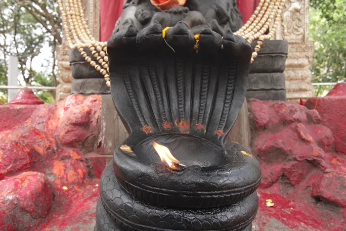 https://nithyananda.org/sites/default/files/photo-gallery/2014-10oct-31st-nithyananda-diary_IMG_2573_bidadi-temple-naga-vilakku.JPG?1414822575