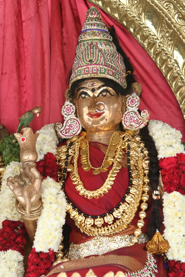 https://nithyananda.org/sites/default/files/photo-gallery/2014-11nov-08th-nithyananda-diary_IMG_5038_bidadi-temple-sanctum-nithyanandeshwari.JPG?1415564926