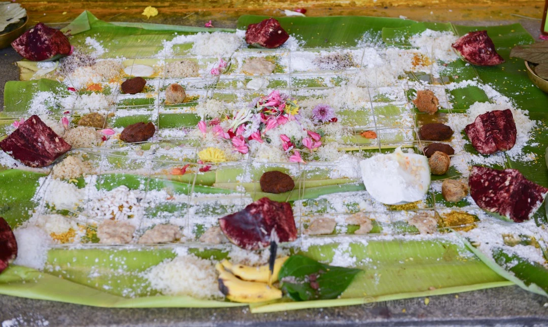 Vaastu Homa
