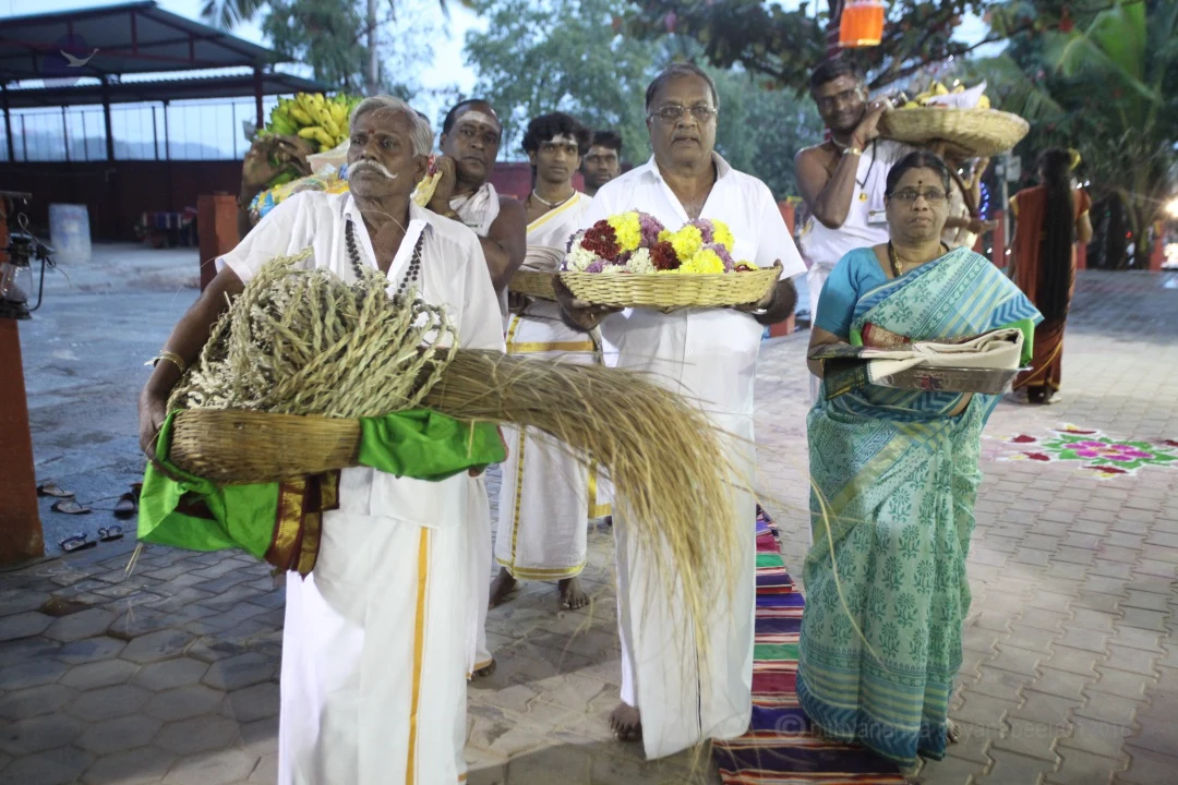 Devotees bring blessed Dharba (rope) for tomorrow's Dvajarohanam, flag hoisting and offer it to His Holiness.