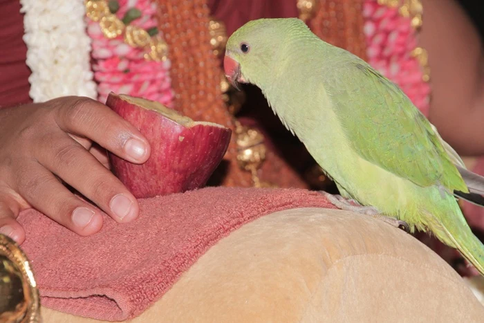https://nithyananda.org/sites/default/files/photo-gallery/IMG_6027.JPG?1366374848