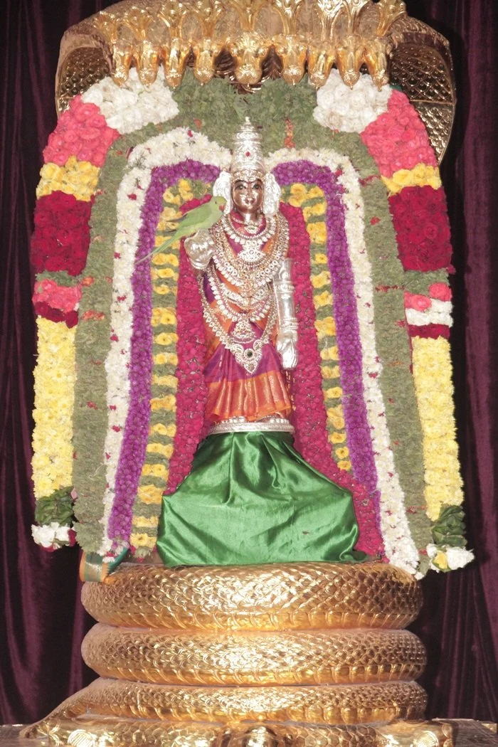 https://nithyananda.org/sites/default/files/photo-gallery/IMG_6103.JPG?1366375335