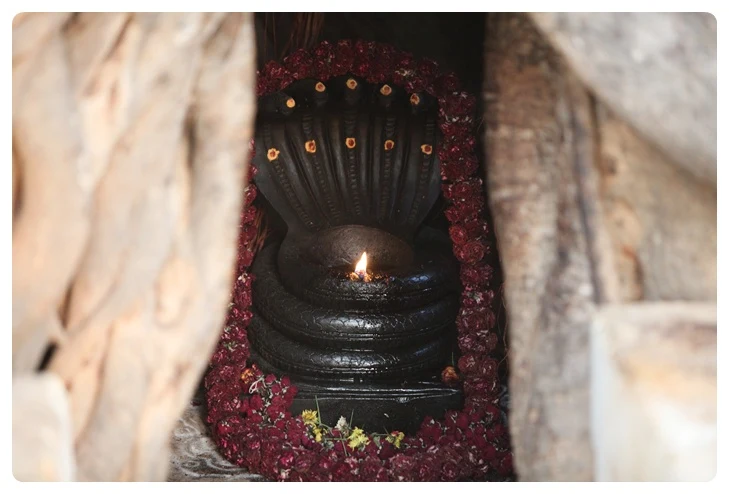 https://nithyananda.org/sites/default/files/photo-gallery/IMG_8730.JPG?1366755519