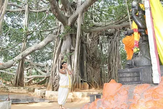 https://www.nithyananda.org/sites/default/files/photo-gallery/1-e_1_0.jpg