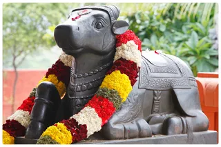 Ananda Nandhi