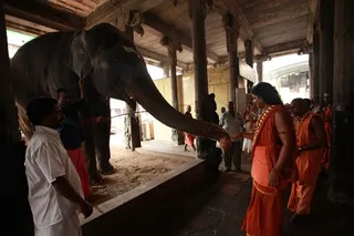 http://nithyananda.org/sites/default/files/photo-gallery/13_nithyananda_12oct2012.JPG