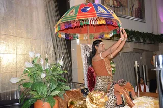 Darshan - Awakening the kundalini energy of IA particpants