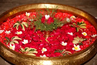 http://nithyananda.org/sites/default/files/photo-gallery/1_5.JPG