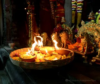 http://nithyananda.org/sites/default/files/photo-gallery/2-2016-12dec-12th-nithyananda-diary_DSC_5920.jpg