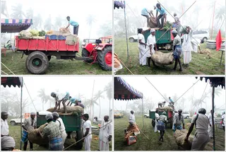 Vegetables & green leaves gets unloaded from the tractor...