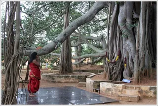 https://www.nithyananda.org/sites/default/files/photo-gallery/2011-09sep-01-nithyananda-photo-01-banyantree.JPG
