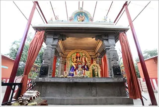 https://www.nithyananda.org/sites/default/files/photo-gallery/2011-09sep-18-nithyananda-photo-02.JPG?1316355553