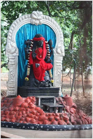https://www.nithyananda.org/sites/default/files/photo-gallery/2011-09sep-24-nithyananda-photo-04.JPG?1316898186