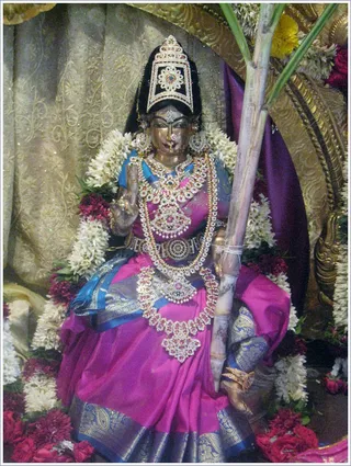 https://www.nithyananda.org/sites/default/files/photo-gallery/2011-09sep-30-nithyananda-photo-21.JPG?1317725423