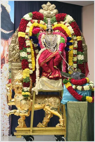 https://www.nithyananda.org/sites/default/files/photo-gallery/2011-10oct-02-nithyananda-photo-08.JPG?1317643474