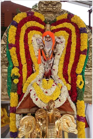 https://www.nithyananda.org/sites/default/files/photo-gallery/2011-10oct-26-nithyananda-photo-19.JPG?1319671202