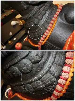 https://www.nithyananda.org/sites/default/files/photo-gallery/2011-10oct-26-nithyananda-photo-34.jpg?1319780749